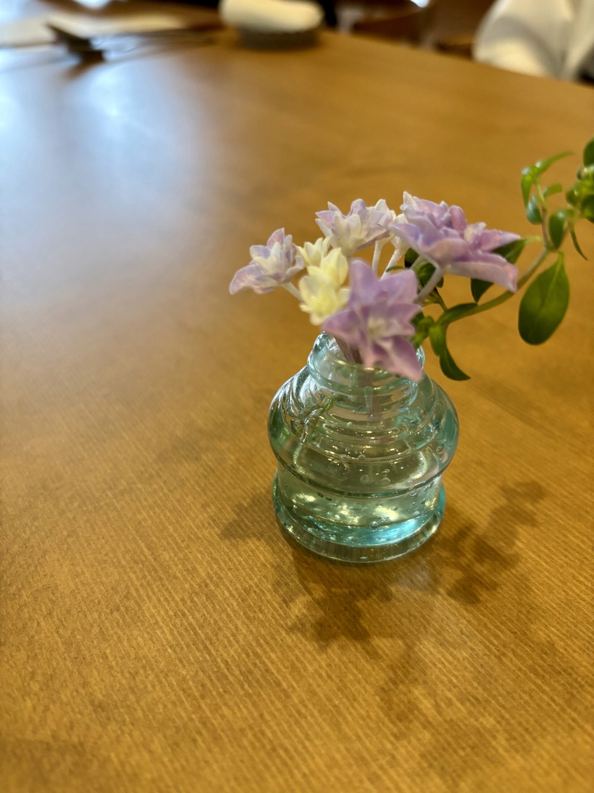 【スタッフでディナー】フェルムさんで癒しのひととき🍽️